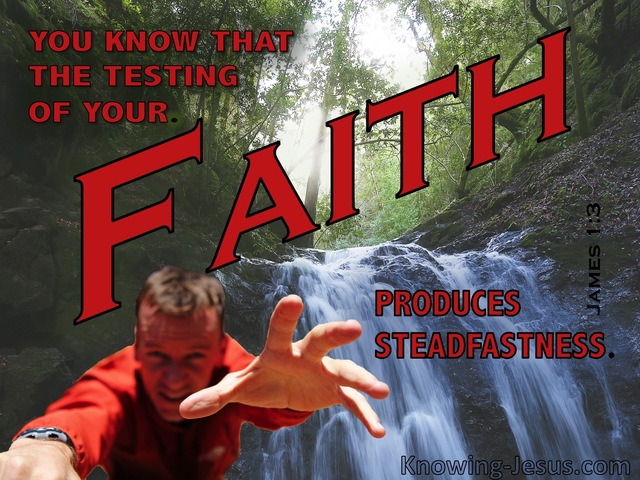 James 1:3 Developing Faith (devotional)03:14